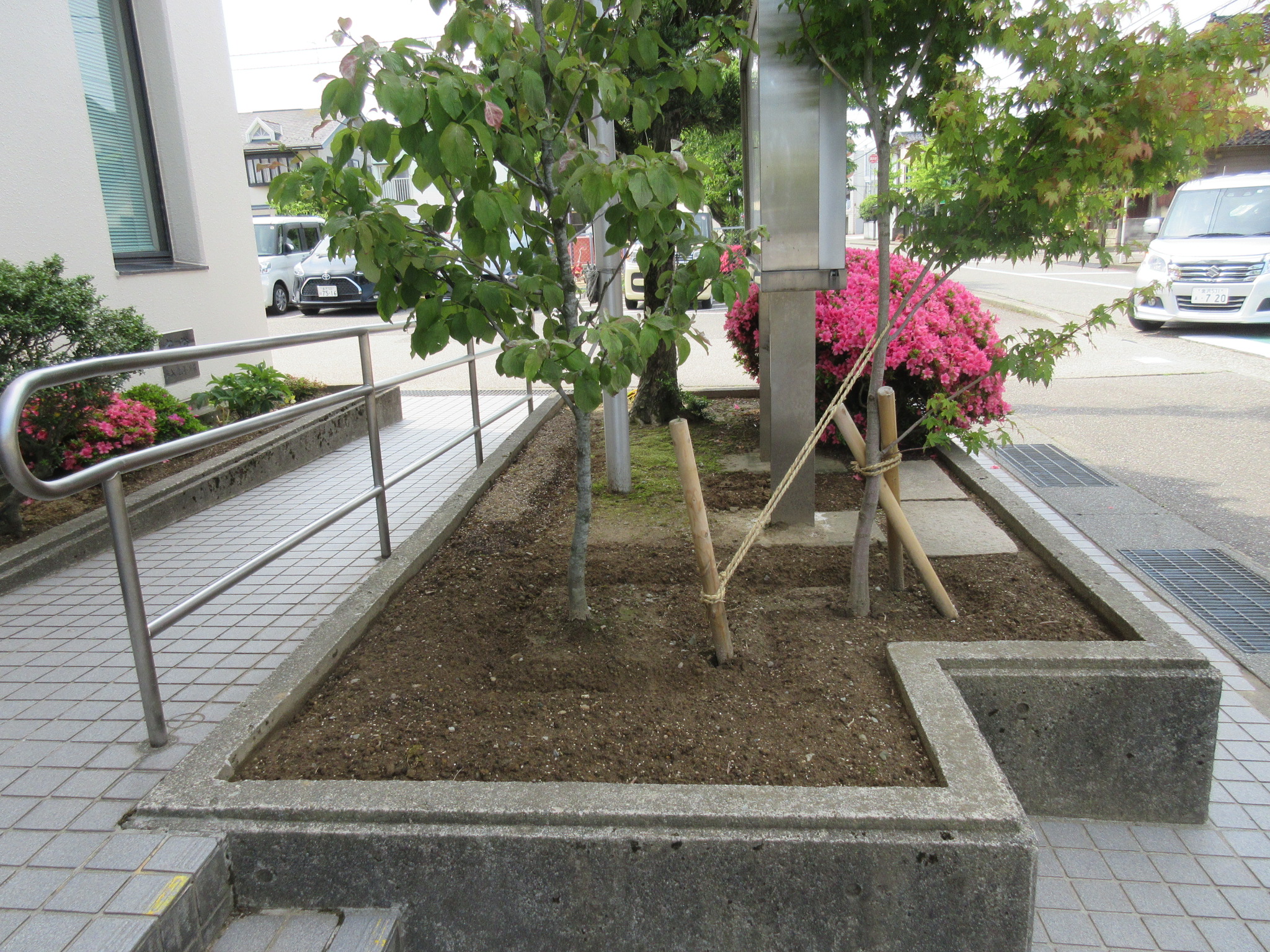 6月10日（土）夏の市民公共花壇の花苗を植えました。 | 金沢市三和公民館