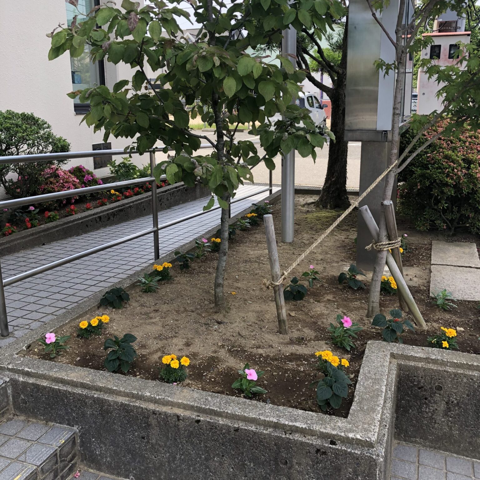 6月8日（土）夏の市民公共花壇の花苗を植えました。 | 金沢市三和公民館
